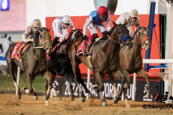 Country Grammer, shown winning the 2022 Dubai World Cup, features in the Grade I Hollywood Gold Cup on Memorial Day at Santa Anita. Photo courtesy of Dubai Racing Club