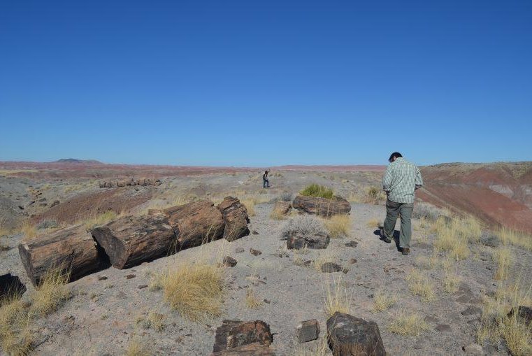 Geologists walk across Arizona’s Petrified Forest National Park, one the many places across the American Southwest that has experienced intense drought conditions over the last two decades. Photo by Kevin Krajick/Earth Institute