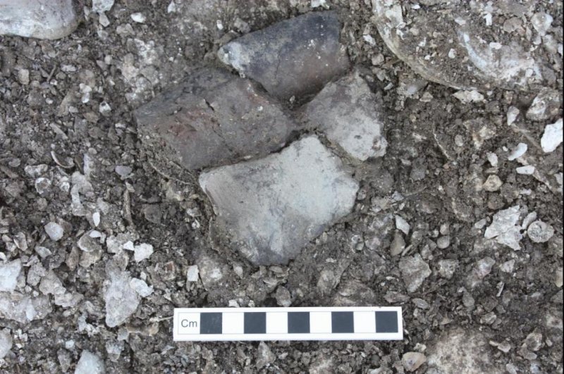 Analysis of hundreds of pottery fragments from the Baltic suggests different groups of hunter-gatherers in the region developed unique culinary traditions. Photo by Harry Robson/University of York