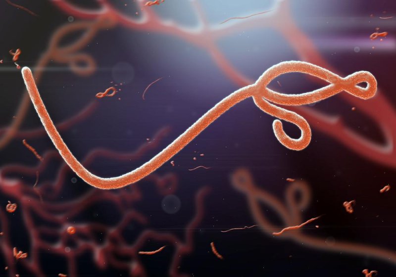 Researchers said they are still working to understand post-Ebola syndrome, which can cause symptoms in survivors thought to be caused by the virus surviving at low levels in parts of the body somewhat separated from the immune system. Photo by jaddingt/Shutterstock