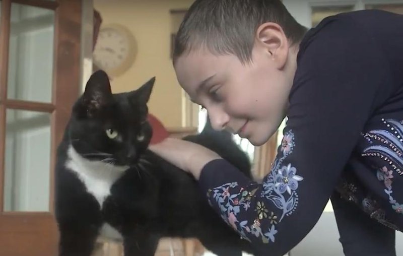 Genie, a rescue cat in England, was named National Cat of the Year by feline charity Cats Protection for helping 11-year-old cancer patient Evie Henderson deal with chemotherapy. Screen capture/Cats Protection/YouTube
