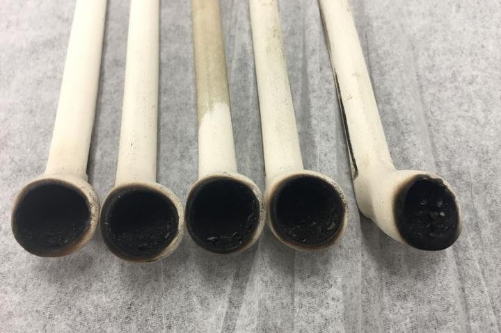 Researchers in Washington state found the residues of multiple strains of tobacco and the chemical signatures of smooth sumac in ancient pipes smoked by indigenous people of the Pacific Northwest. Photo by Washington State University<br>