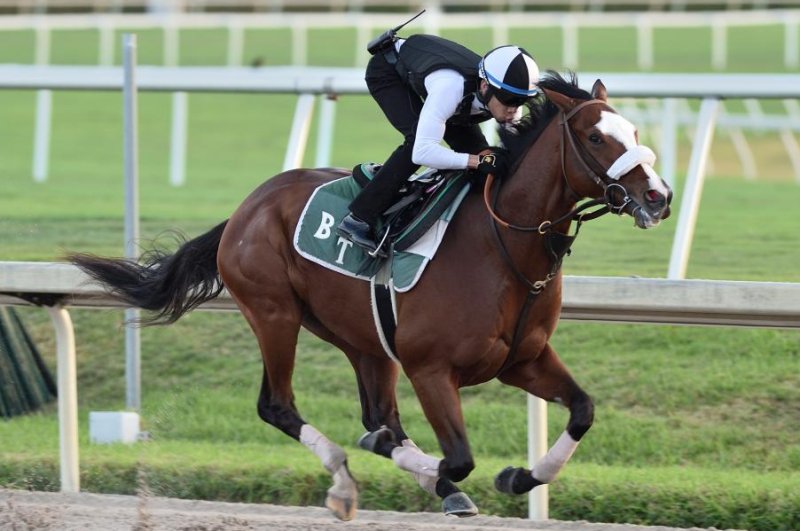Tiz the Law, shown breezing last month at Gulfstream Park, is the morning-line favorite for Saturday's Grade I Florida Derby. Photo courtesy of Gulfstream Park