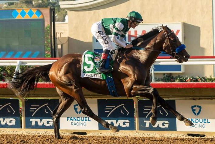 Flightline, seen winning the Grade I Pacific Classic in his last start, has been installed as the odds-on favorite for Saturday's $6 million Breeders' Cup Classic. Benoit photo, courtesy of Del Mar Turf Club