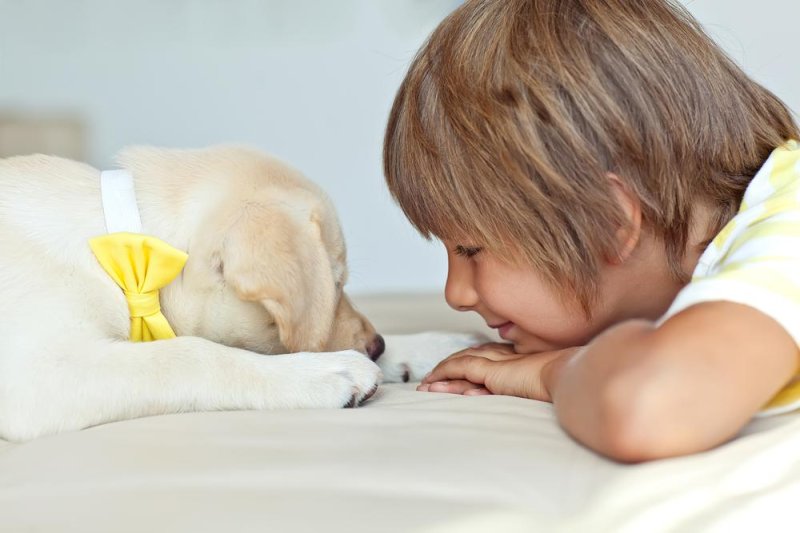 Study: Having a pet dog may reduce risk of childhood anxiety