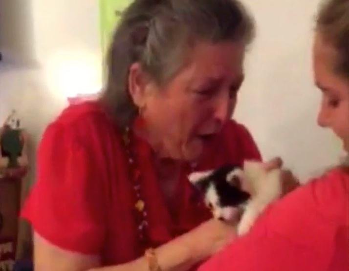 A Texas teacher was met with a surprise when three of her students bought her a pair of kittens following the death of her 16-year-old cat. Screenshot courtesy of Rachel Hanhart /Inside Edition