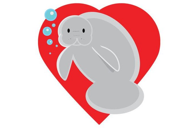 Florida zoo's petition calls for creation of a manatee emoji