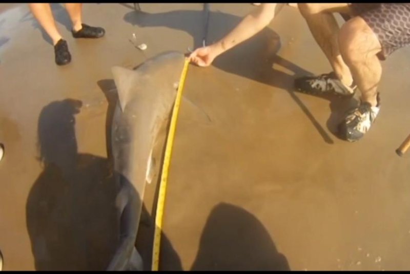 Woman fishing on California beach reels in two sharks
