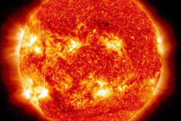 Large-scale planetary waves found on the sun