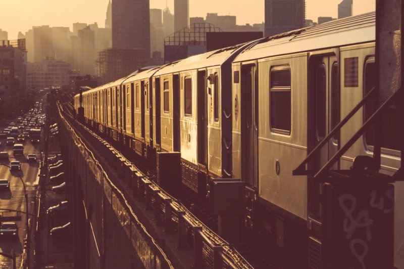 A woman who threw crickets and worms into the air set off a 30-minute ordeal for rush-hour passengers on a New York subway train on Wednesday evening. Photo by William Perugini/Shutterstock