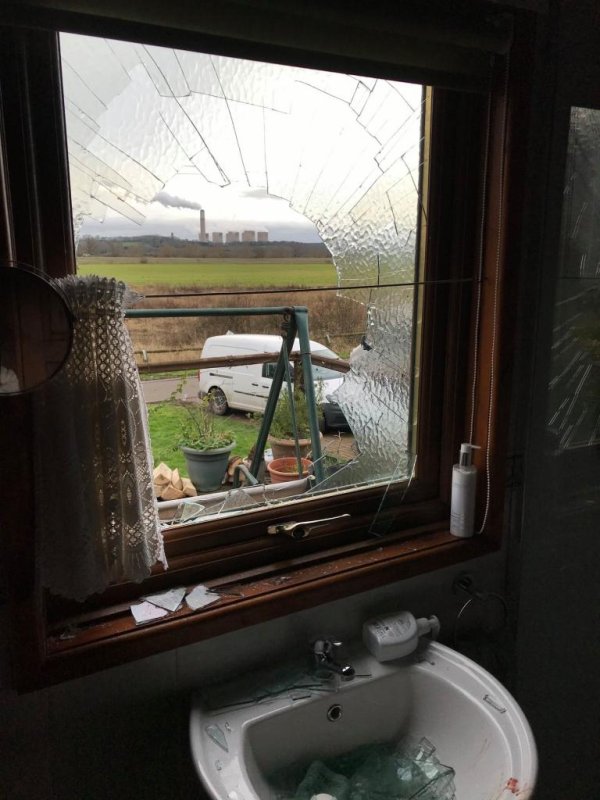 Swan crashes through window into woman's bathroom