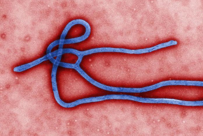 Death toll still rising in West African Ebola outbreak