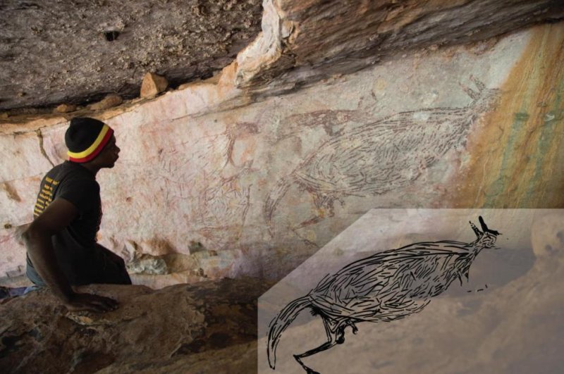 Australia's earliest rock painting feature naturalistic, life-sized depictions of animals -- with the oldest painting discovered so far on the continent featuring a kangaroo. Photo by Peter Veth and the Balanggarra Aboriginal Corporation/Illustration by Pauline Heaney