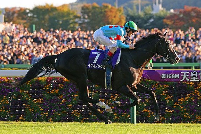 Equinox, the world's top-rated horse, wins Sunday's Grade 1 Tenno Sho (Autumn) at Tokyo Racecourse. Photo courtesy of Japan Racing Association