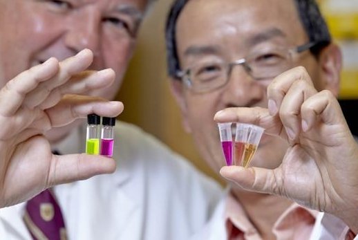 Dr. Bruno Salena, a gastroenterologist, and Dr. Yingfu Li, a biochemist, hope to develop noninvasive test for colorectal cancer using fluorescent DNAzymes. (Canadian Cancer Society)