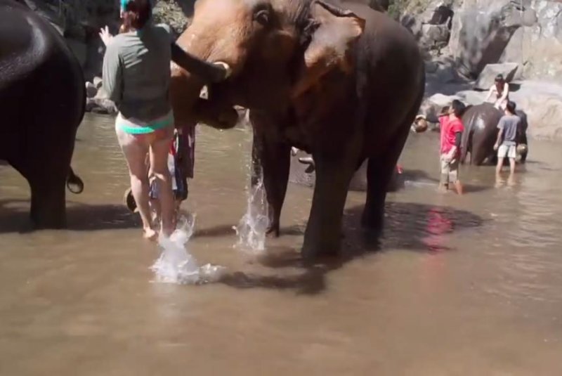 A U.S. tourist trying to bathe an elephant in Thailand gets thrown into the air by the pachyderm. Screenshot: Whitney Lavaux/YouTube