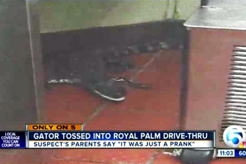 Florida man accused of throwing alligator into Wendy's drive-through window