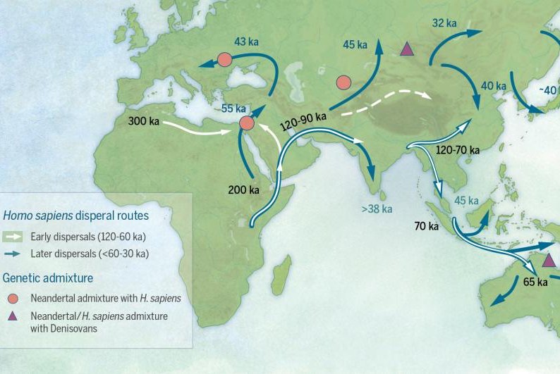 Scientists Revamp Out Of Africa Model Of Early Human Migration