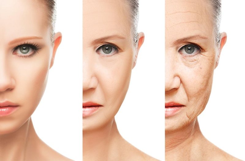 Researchers devise method to measure biological aging
