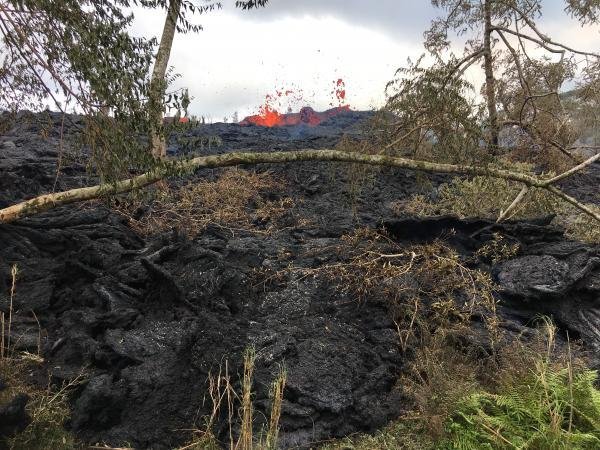 A 16th volcanic fissure opened in Hawaii and produced a lava flow that traveled about 250 yards before coming to a halt. It was followed by a 17th fissure that spattered lava but didn't produce a consistent flow. Photo by Cheryl Gansecki/University of Hawaii/U.S. Geological Survey