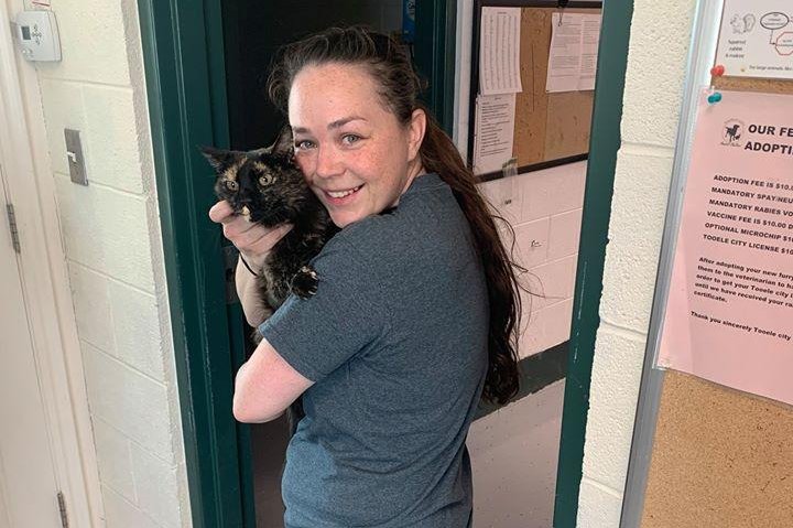 Utah woman reunited with missing cat after 10 years