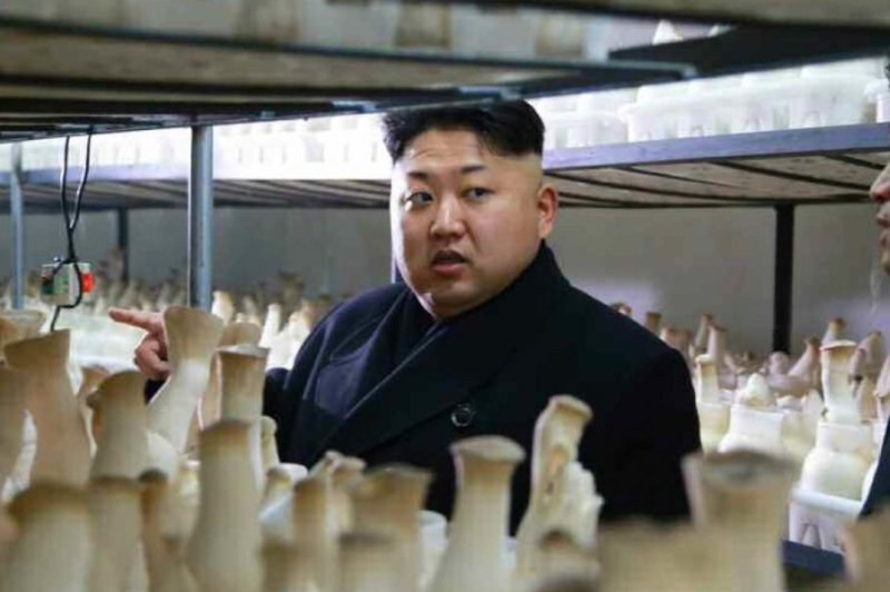 Report: Kim Jong Un's illicit funds short on foreign exchange