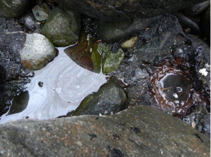 Oil trapped between rocks on a beach in the Gulf of Alaska. New research finds beaches on the Alaska Peninsula hundreds of miles from the site of the 1989 Exxon Valdez oil spill still harbor small hidden pockets of oil.Credit: Gail Irvine, USGS