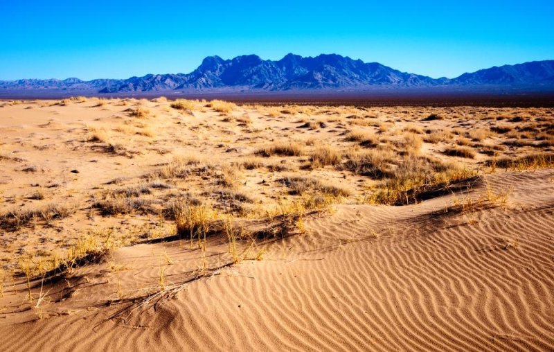 Three young children between the ages of 7 and 5 were found alone, without shoes or water, in a small Southern California town in the Mojave Desert, pictured, authorities said Thursday. The children were apparently placed there for disciplinary reasons, the San Bernardino County Sheriff's Office said, in 100-degree heat. File Photo by Zack Frank/Shutterstock