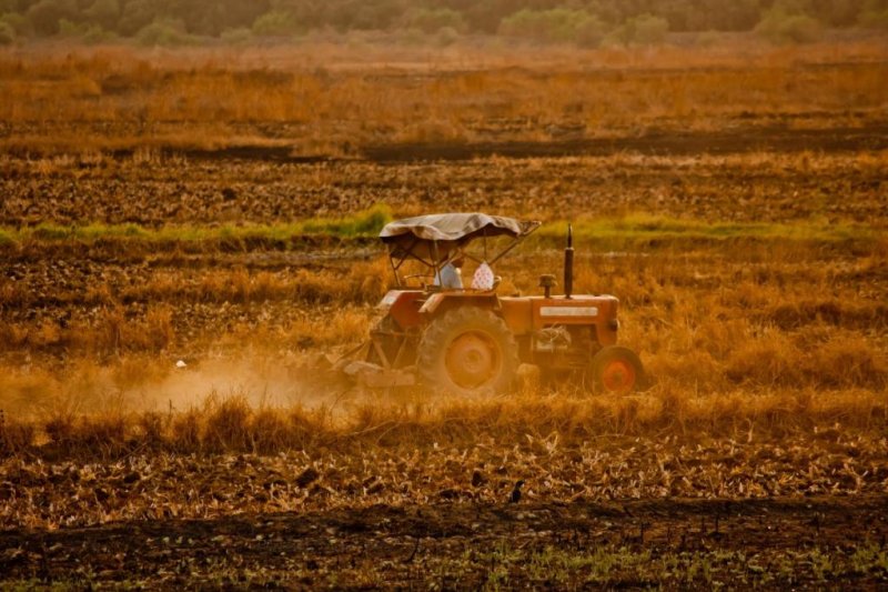 New research offers strategies for addressing hunger without expanding agriculture and further taxing Earth's climate and natural resources. Photo by Pxhere