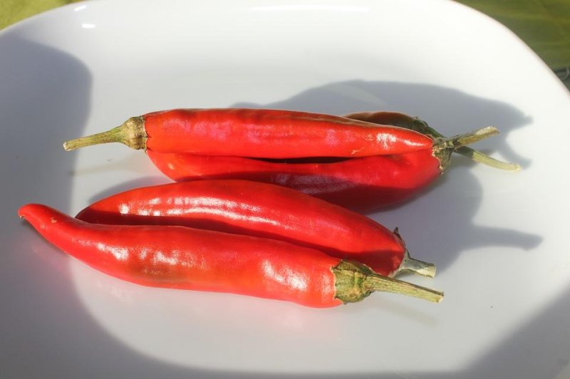 New study shows consuming hot red chili peppers is linked to reduced mortality rates in individuals. danielam/PixaBay