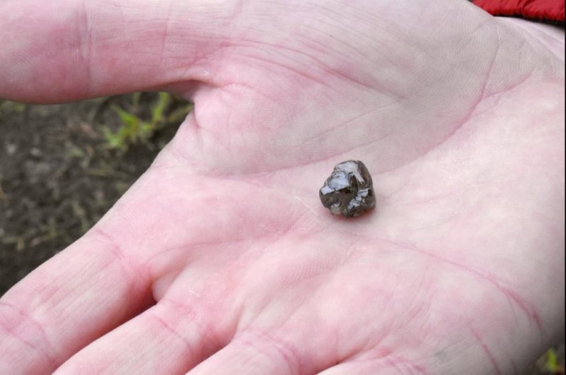 Kevin Kinard, 33, found a 9.07-carat diamond at Arkansas' Crater of Diamonds State Park that officials said is the second-largest diamond discovery in the park's history. Photo courtesy of Arkansas State Parks