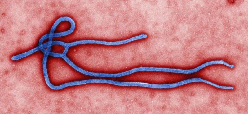 Ebola outbreak: At least 59 dead in Guinea