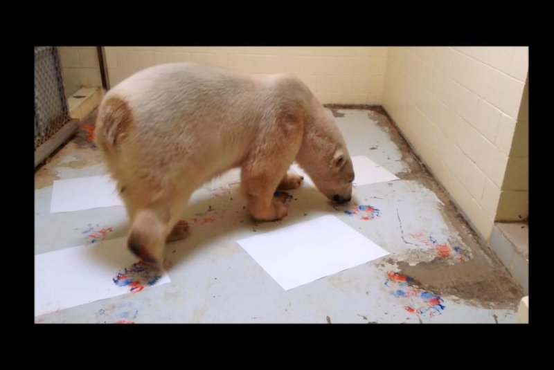 Henry the "Polar Picasso" creates works of art at a Canadian sanctuary. Storyful video screenshot