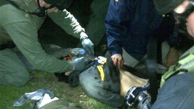 Dzhokhar Tsarnaev is searched by police and given medical attention after his capture. (Boston Police)