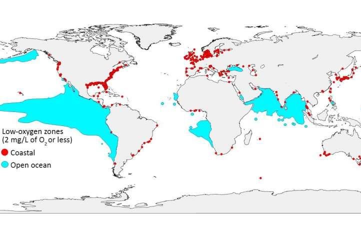 There are more and larger areas of low- and no-oxgyen in Earth's oceans than there were 50 years ago, researchers say. Photo by GO2NE working group/World Ocean Atlas 2013/R. J. Diaz