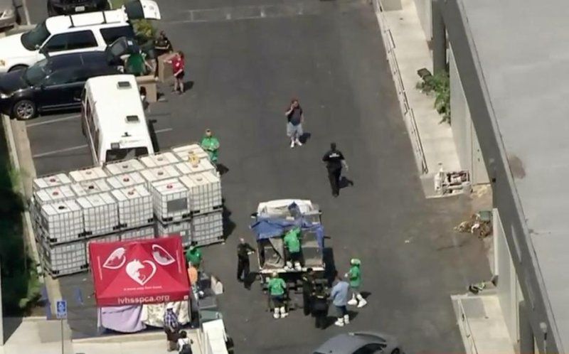 Authorities in California discovered and seized thousands of dead and living animals in a warehouse filled with trash and feces. Screenshot: KTLA/Inform Inc.