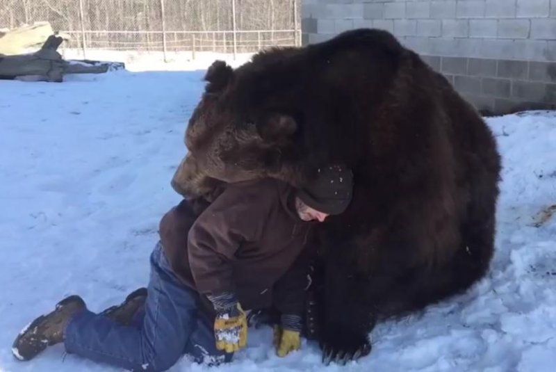 A bear named Jimbo and a human named Jim play in the snow. Screenshot: Storyful