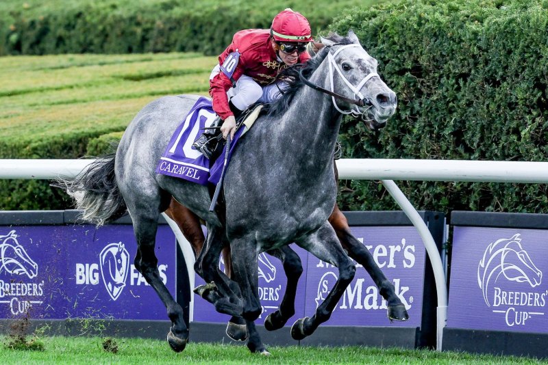 Caravel, the reigning Breeders' Cup Turf Sprint champ, is among the favorites for Sunday's Grade II Franklin Stakes at Keeneland. Photo by Carolyn Simancik/Eclipse Sportswire, courtesy of Breeders' Cup