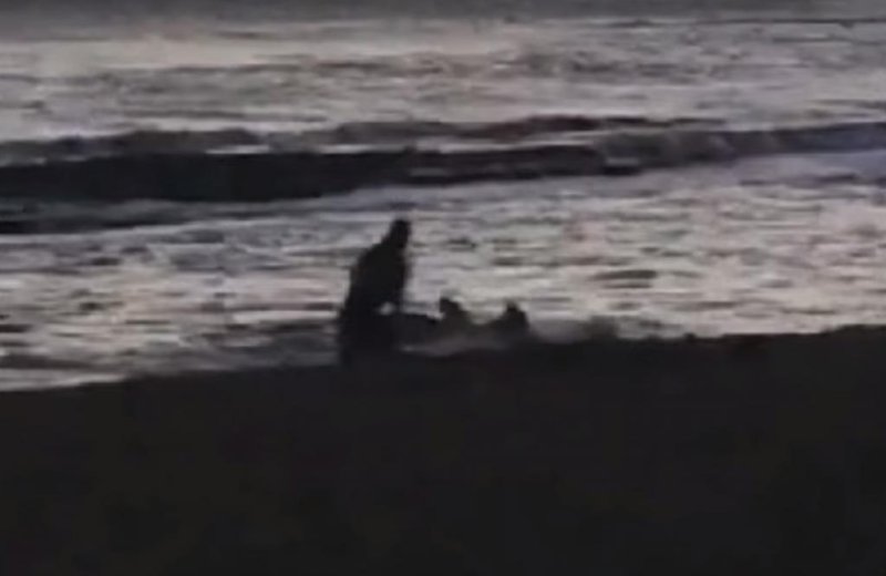 Man caught on video attacking a pregnant endangered seal in Hawaii