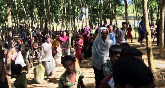 Amnesty international accused the Myanmar police and military of crimes against humanity in the treatment of their country's minority Muslim Rohingya population. <a class="tpstyle" href="https://www.amnesty.org/en/latest/news/2016/12/myanmar-security-forces-target-rohingya-viscious-scorched-earth-campaign/">Photo courtesy of Amnesty International</a>