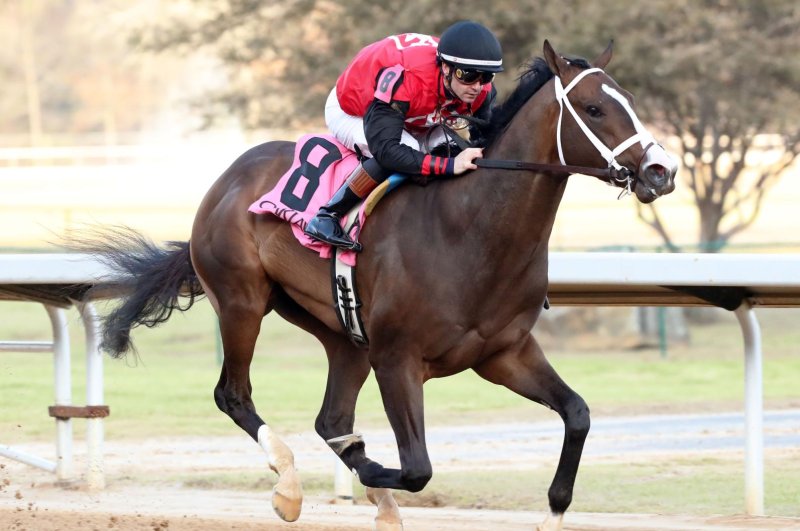 Victory Formation wins Sunday's Smarty Jones Stakes at Oaklawn Park, entering Kentucky Derby picture. Coady Photography, courtesy of Oaklawn Park
