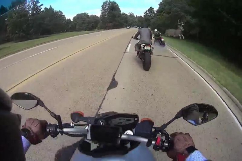 A white-tailed deer buck jumps over a motorcyclist in Washington, D.C. Screenshot: Newsflare