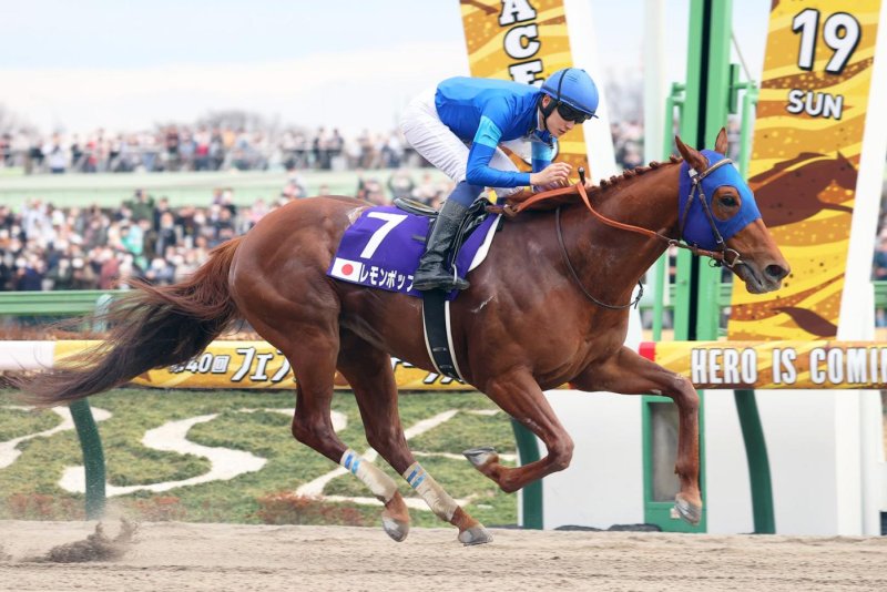 Lemon Pop wins Sunday's Grade 1 February Stakes on the Tokyo Racecourse dirt. Photo courtesy of Japan Racing Association