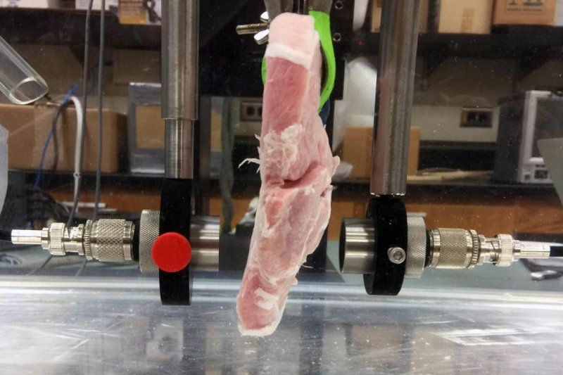 Researchers stream HD video through chunks of raw meat