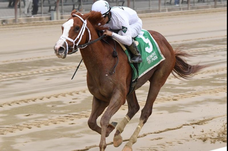 Americanrevolution, shown winning the Empire Classic at Belmont Park on October 30, is early favorite in Saturday's Grade I Cigar Mile at Aqueduct. Photo by Chelsea Durand, courtesy of New York Racing Association