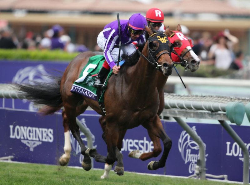 International graded stakes winner Hootenanny, seen winning the 2014 Breeders' Cup Juvenile Turf, resurfaces this weekend in Canada with an international campaign in mind. Photo courtesy Breeders' Cup