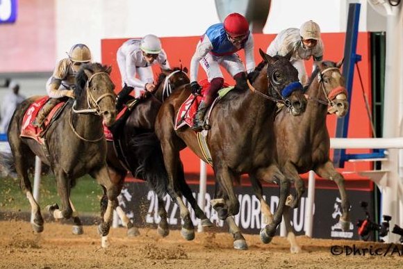 Country Grammer posts an upset win Saturday in the $12 million Dubai World Cup. Photo courtesy of Dubai Racing Club