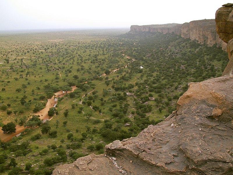 Savanna grassland in Sudan. (CC/Timm Guenther)