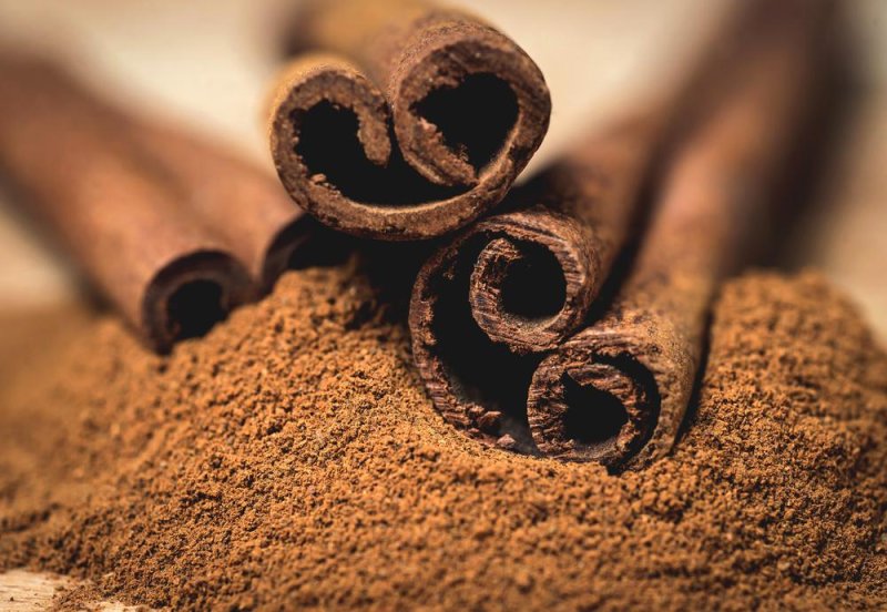A spoonful of cinnamon may keep the doctor away
