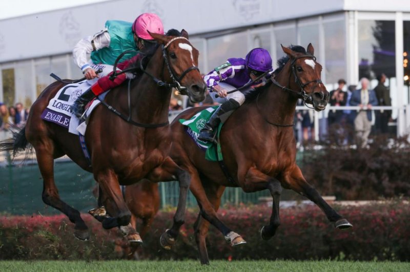 Enable was pegged No. 9 on the latest Longines World's Best Racehorse Rankings despite her second straight victory in the Prix de l'Arc de Triomphe and a triumph in the Breeders' Cup Turf. Photo courtesy of Breeders' Cup